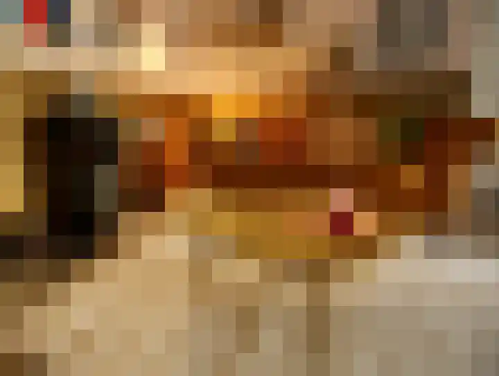 Burgwal 43 Den Burg thumbnail 8