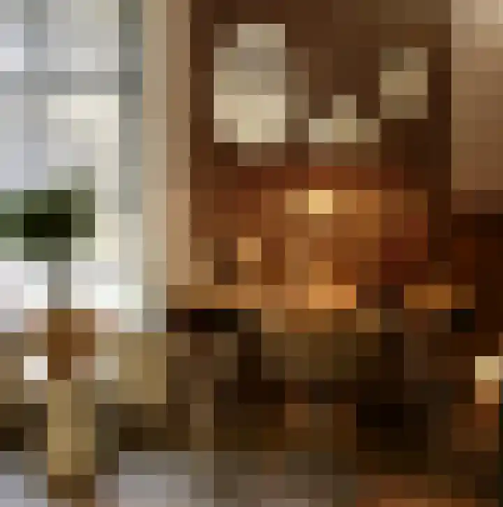Burgwal 43 Den Burg thumbnail 9