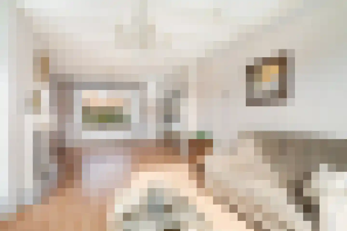 Burgwal 48 Woudenberg thumbnail 10