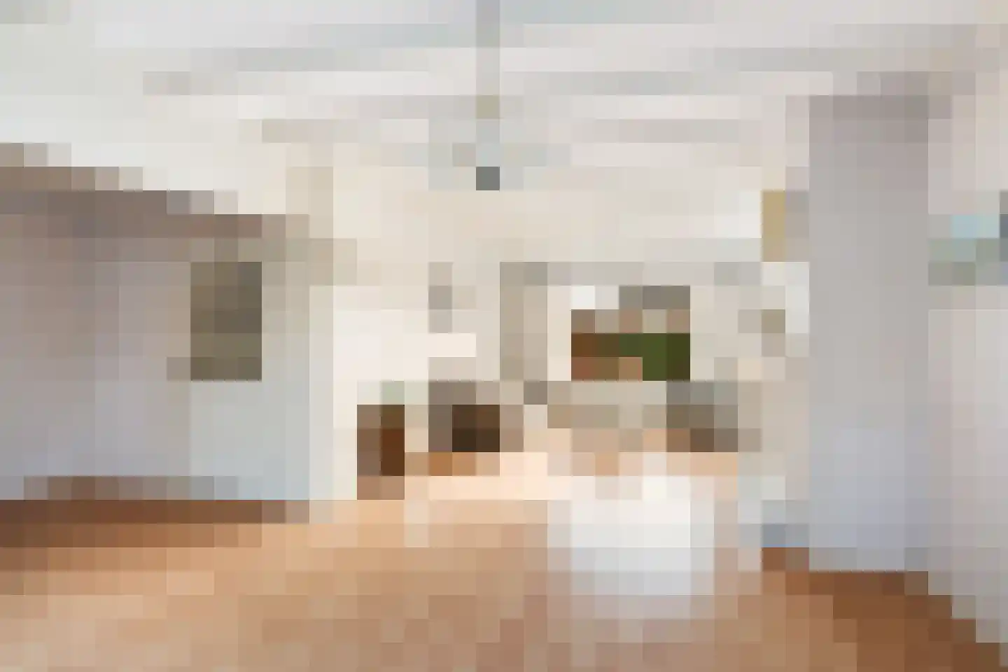 Burgwal 48 Woudenberg thumbnail 11