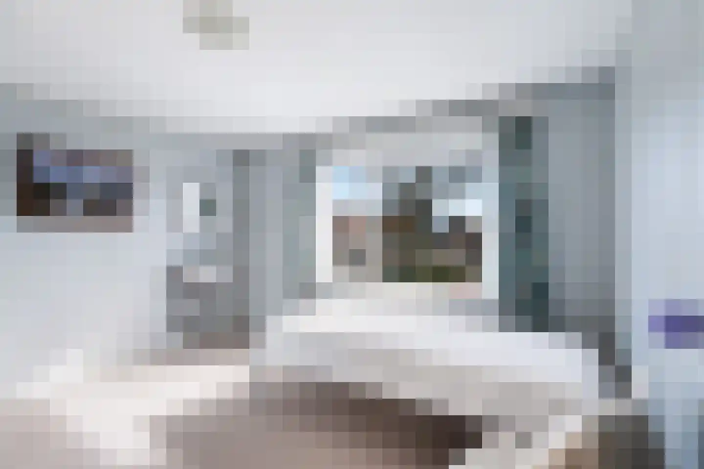 Burgwal 48 Woudenberg thumbnail 22