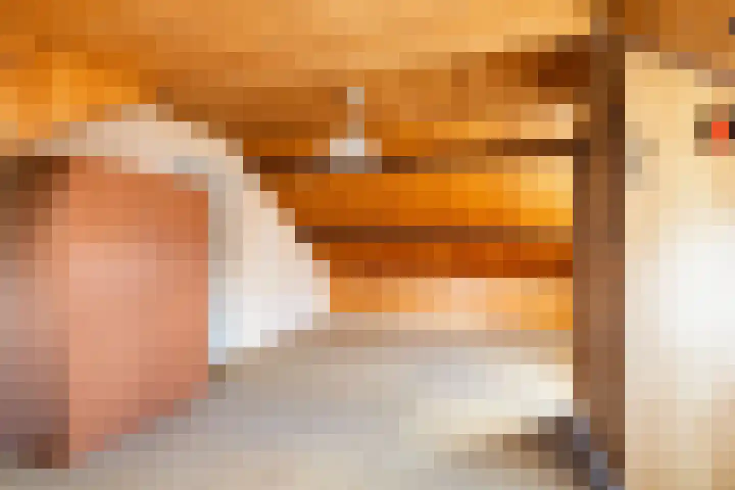 Burgwal 48 Woudenberg thumbnail 32