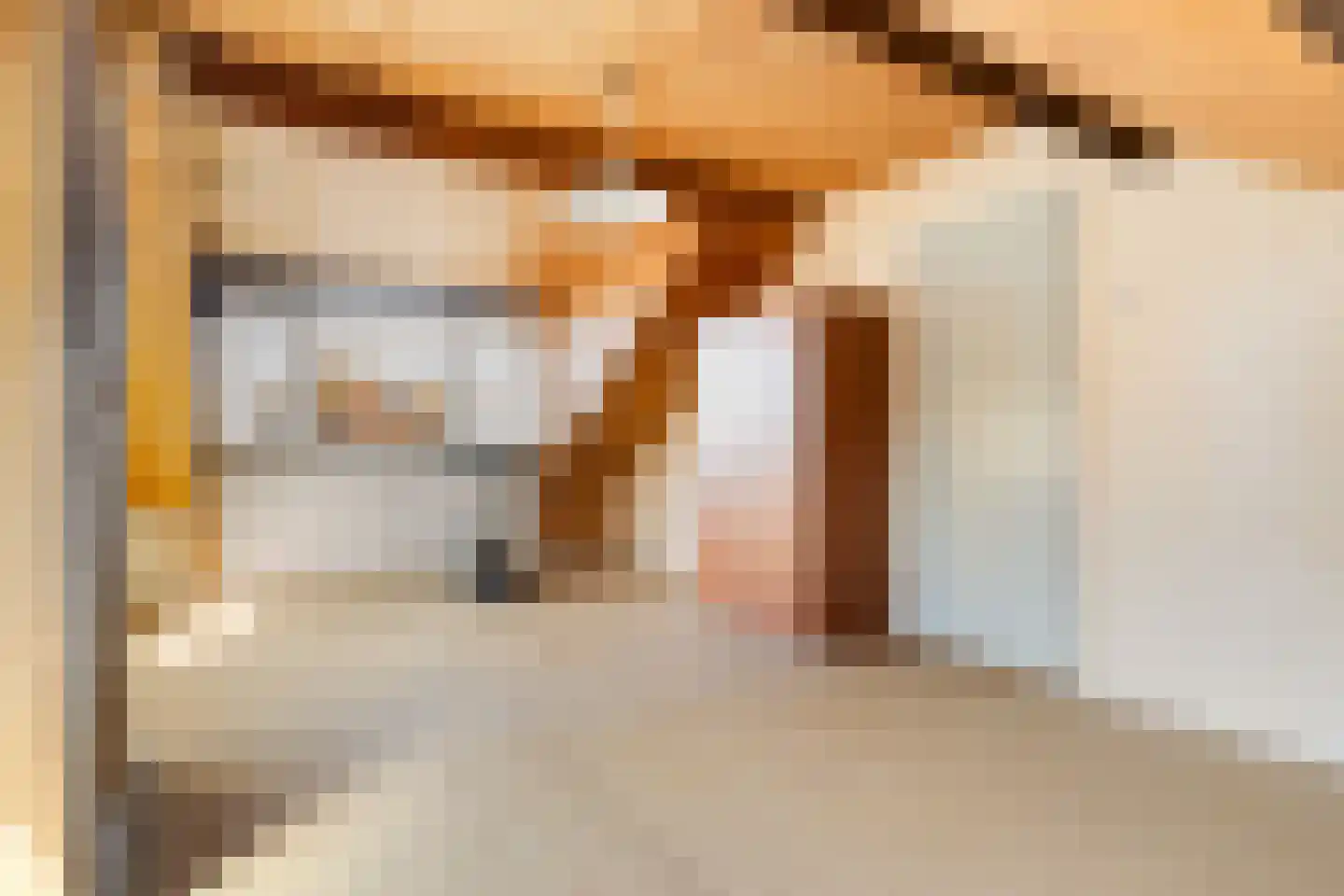 Burgwal 48 Woudenberg thumbnail 33