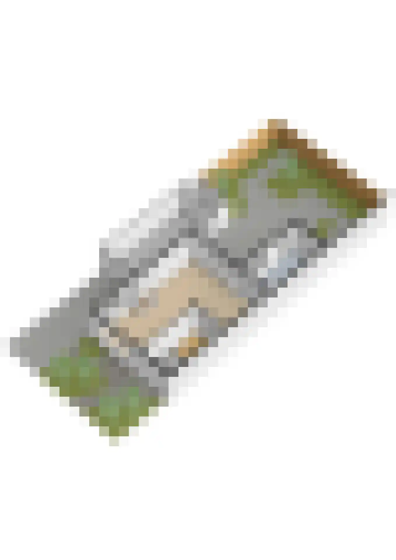 Burgwal 48 Woudenberg thumbnail 49