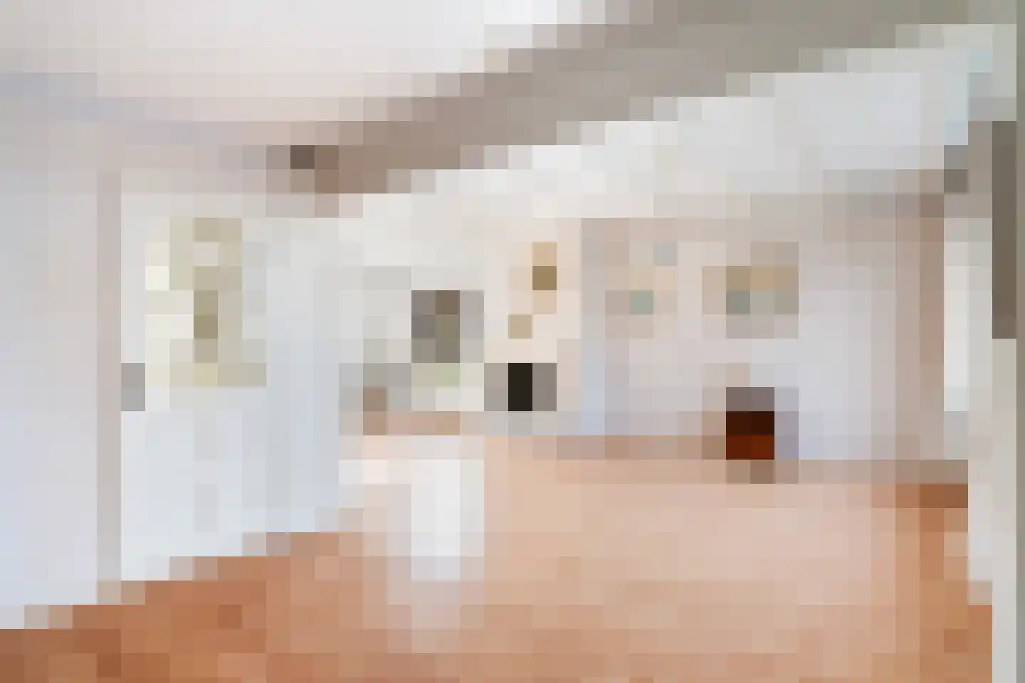 Burgwal 48 Woudenberg thumbnail 8