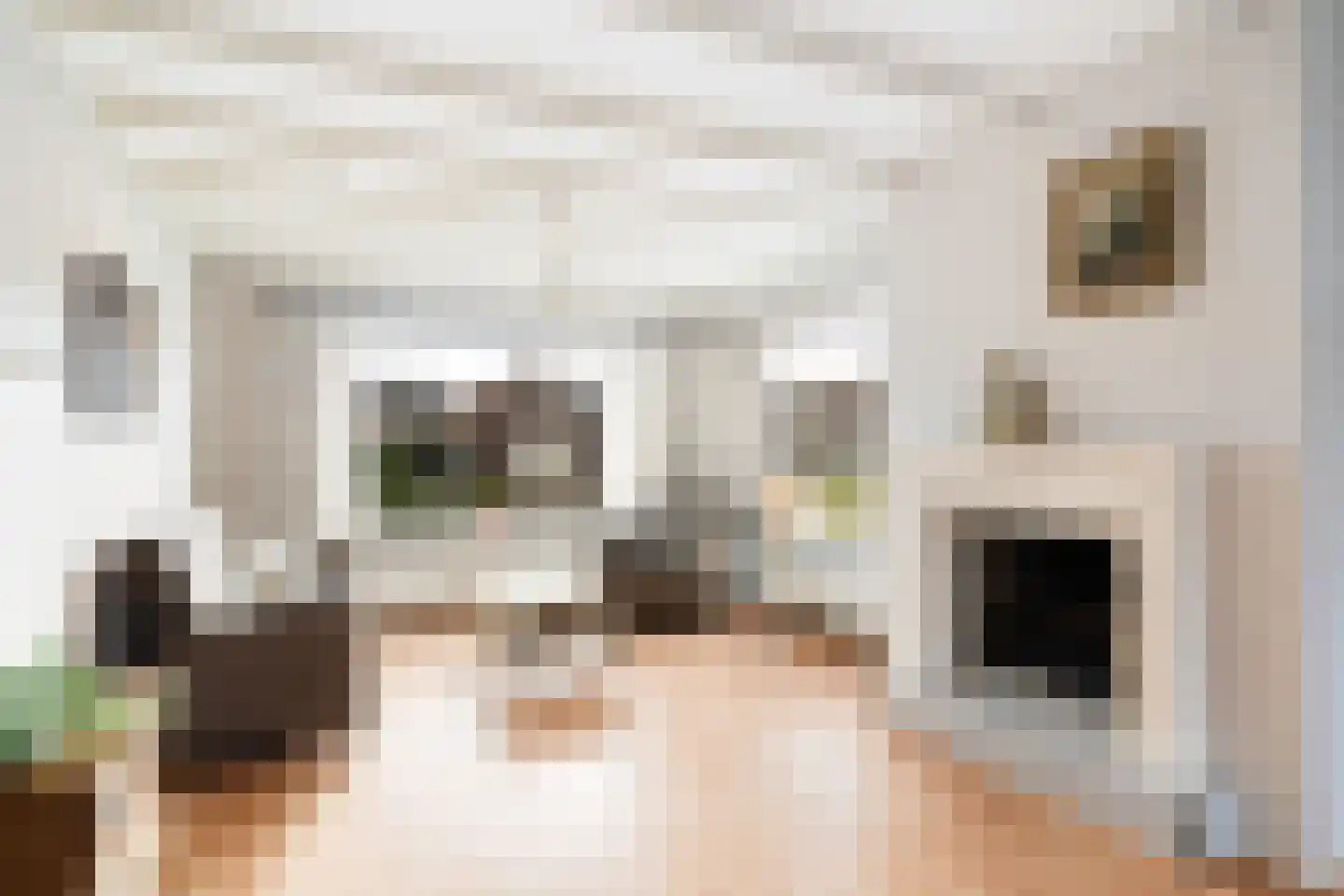 Burgwal 48 Woudenberg thumbnail 9