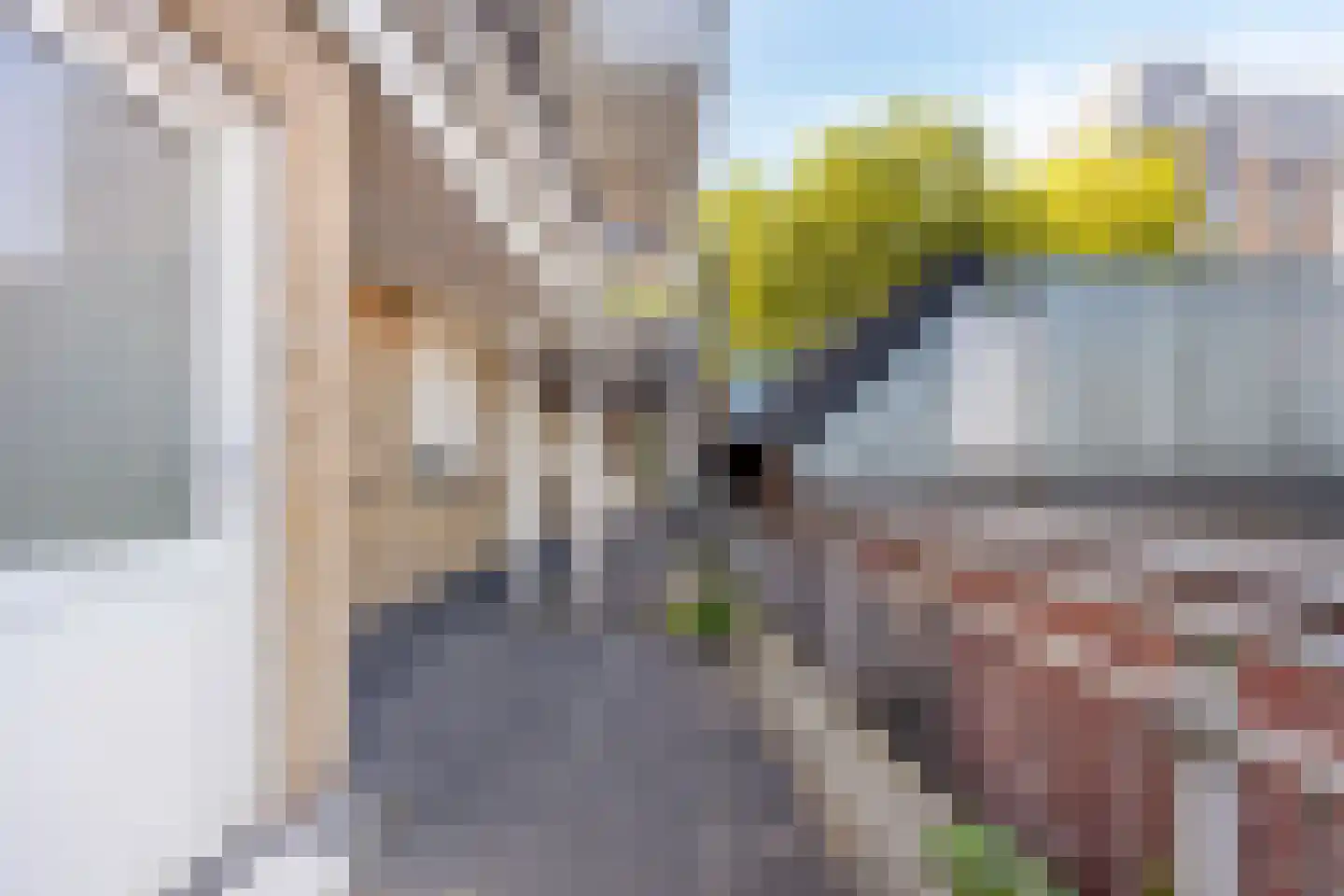 Burgwal 58 Oss thumbnail 17