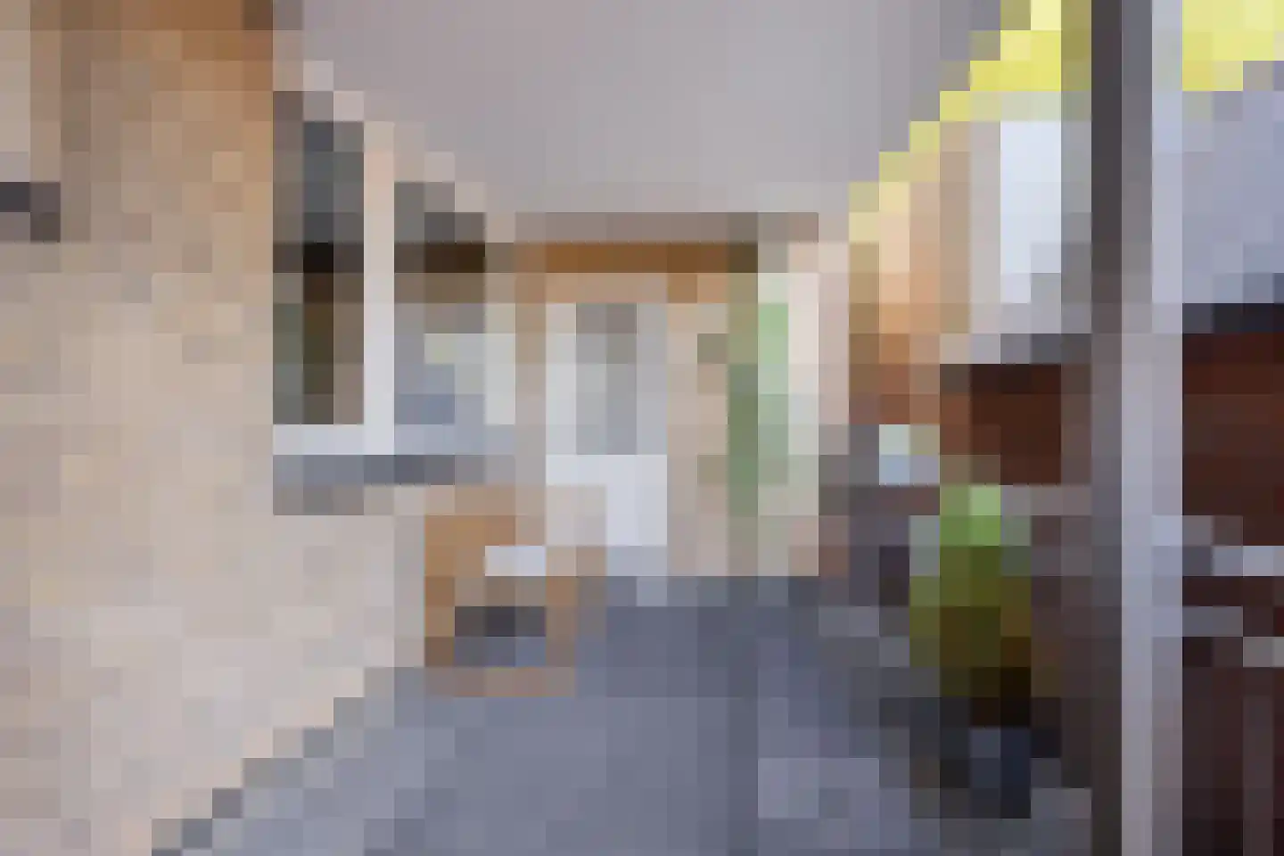 Burgwal 58 Oss thumbnail 18
