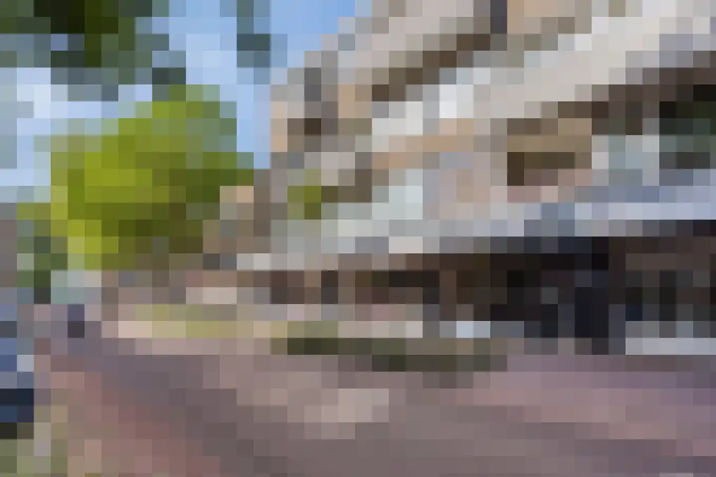 Burgwal 58 Oss thumbnail 25