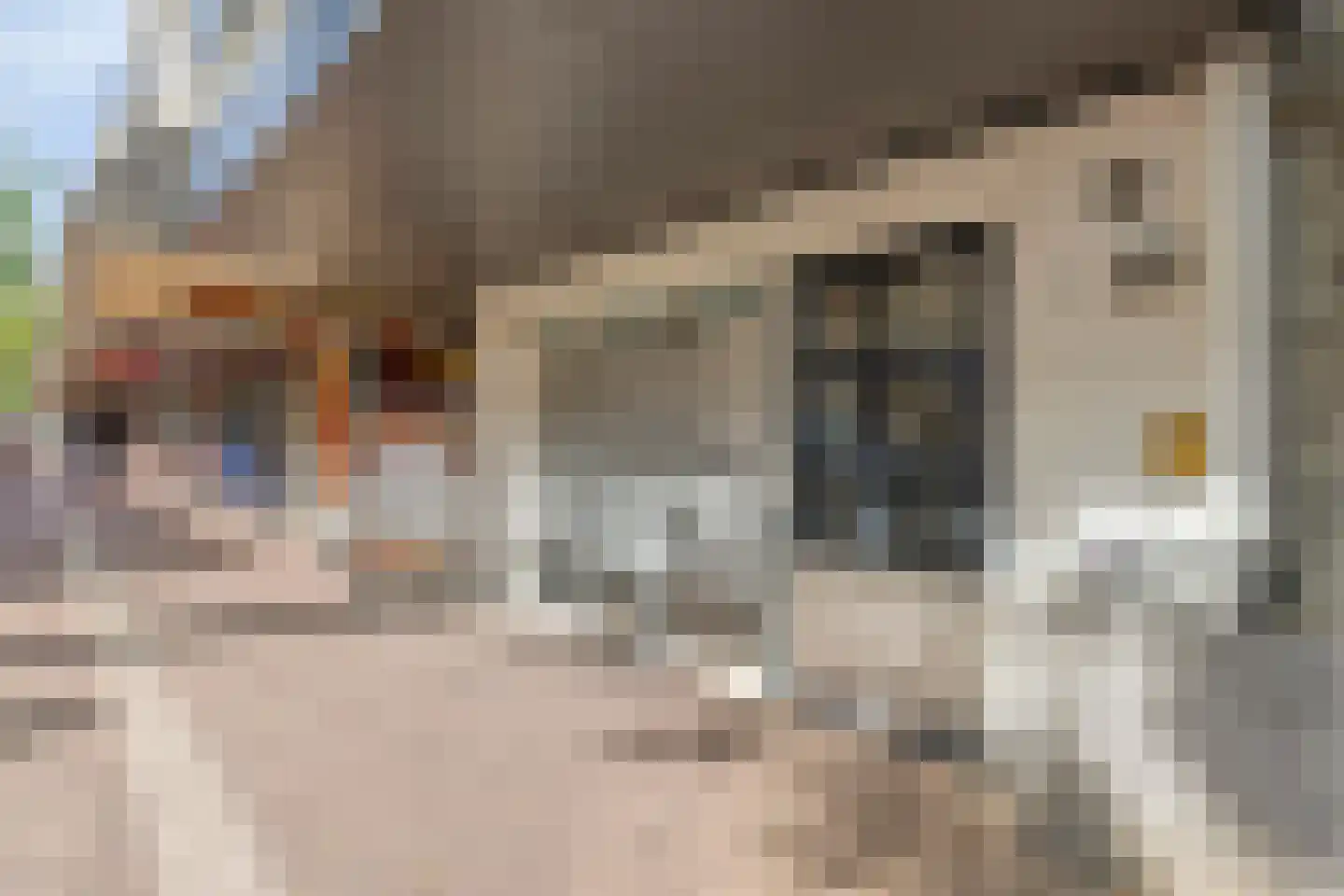 Burgwal 58 Oss thumbnail 29