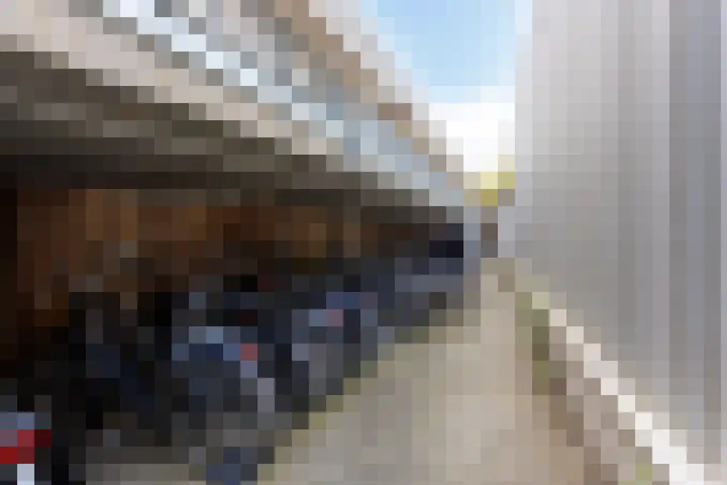Burgwal 58 Oss thumbnail 30