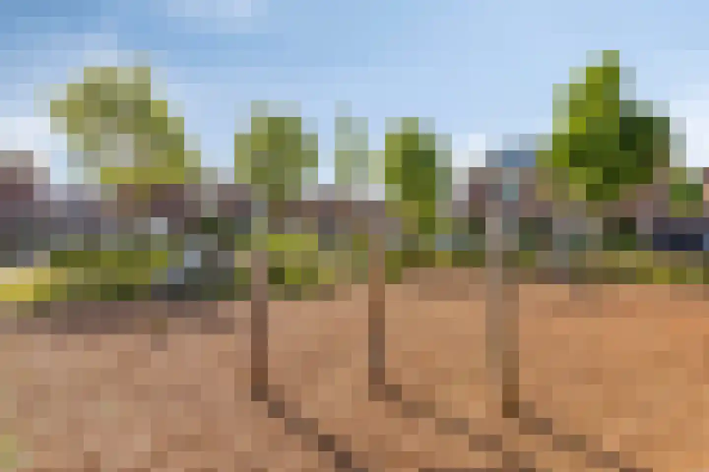 Burgwal 58 Oss thumbnail 32