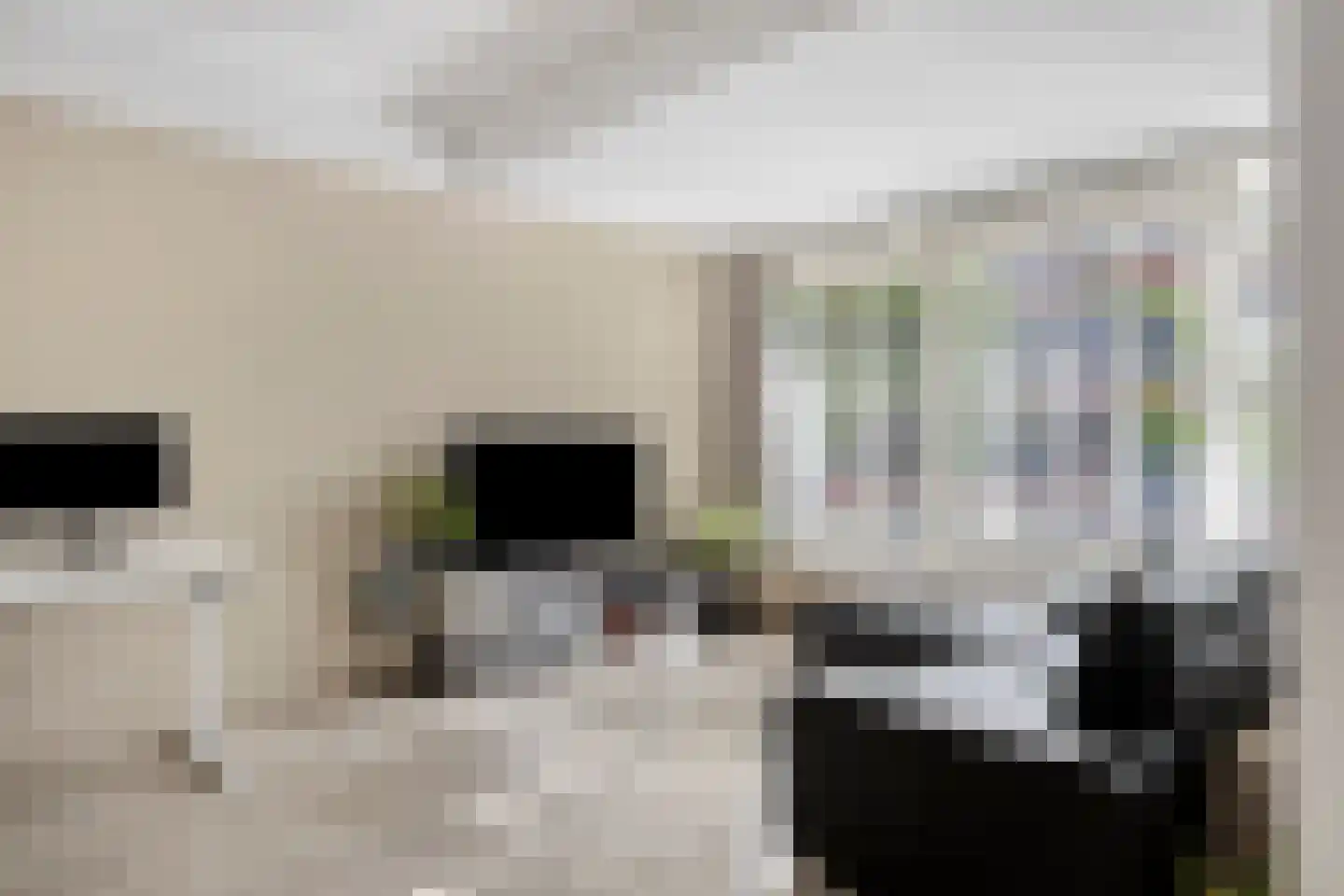 Burgwal 58 Oss thumbnail 5