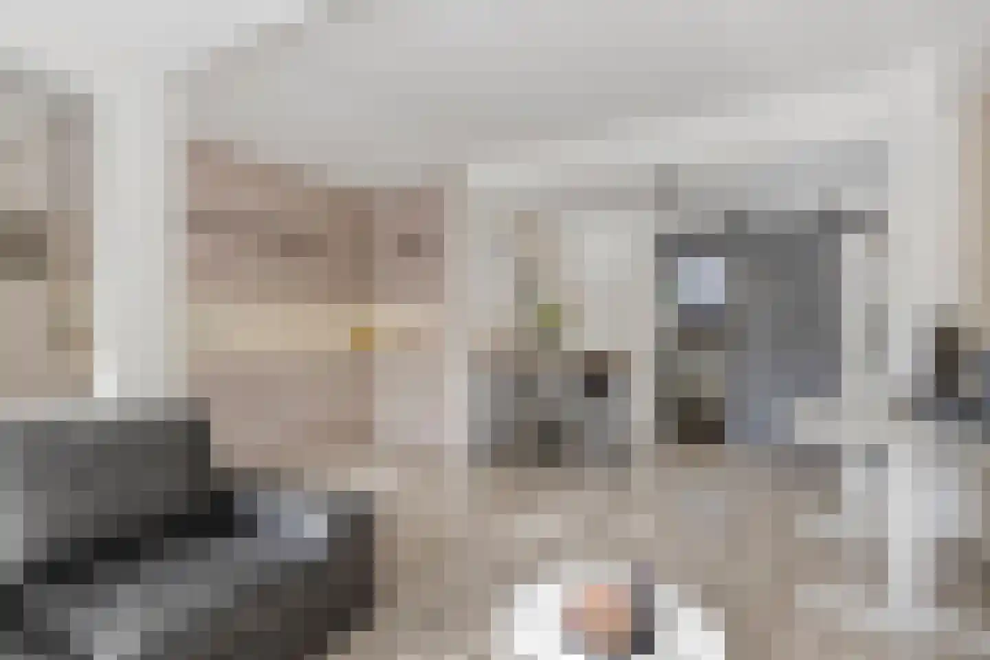 Burgwal 58 Oss thumbnail 6