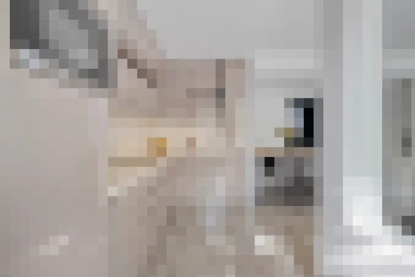 Burgwal 58 Oss thumbnail 7
