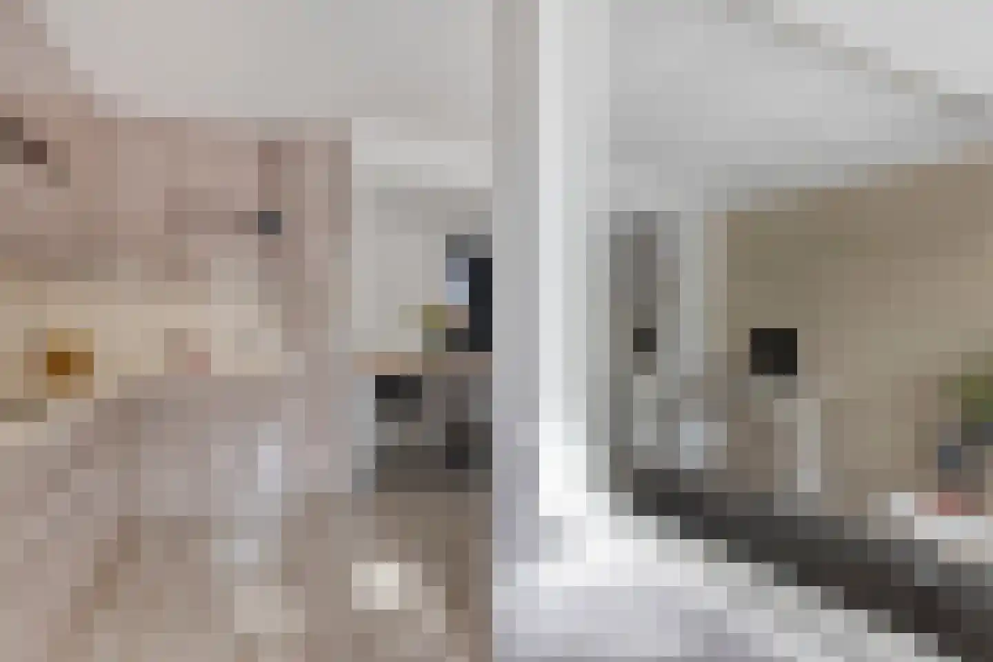 Burgwal 58 Oss thumbnail 8