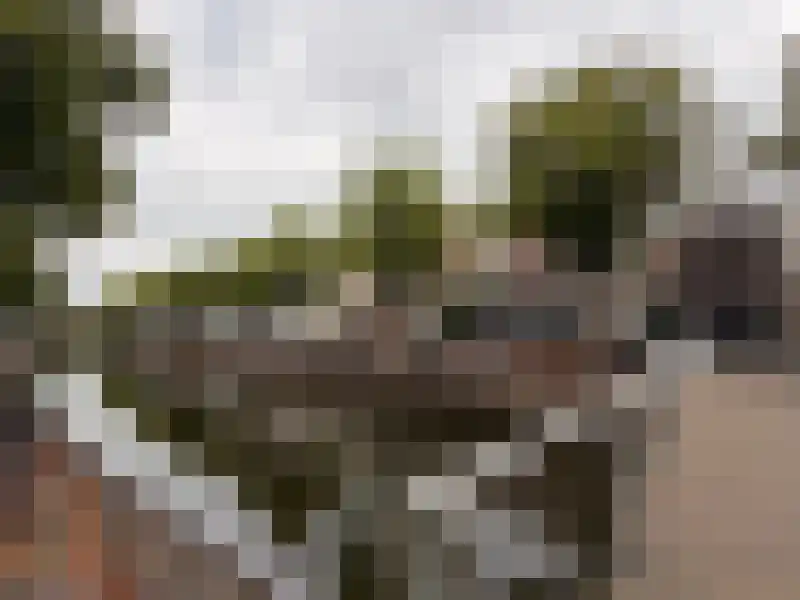 Burgwal 65 Kampen thumbnail 8
