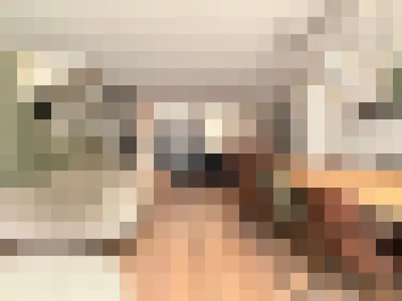 Burgwal 65 Kampen thumbnail 9