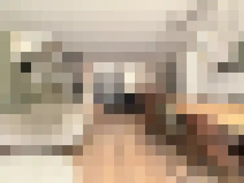 Burgwal 65 Kampen thumbnail 9
