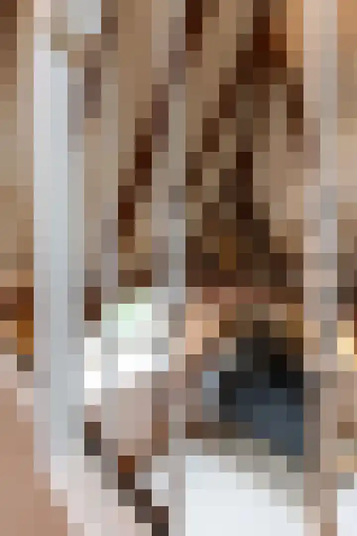Burgwal 78 3 Kampen thumbnail 12