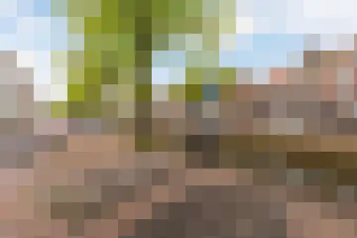 Burgwal 78 3 Kampen thumbnail 17