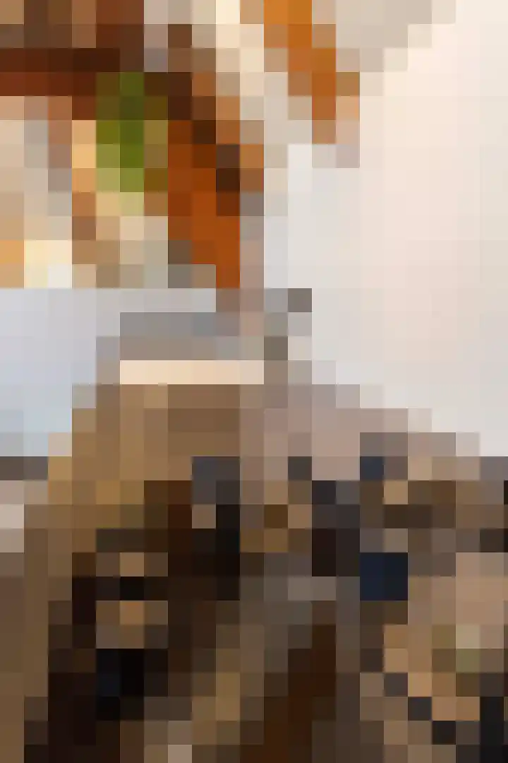 Burgwal 78 3 Kampen thumbnail 9