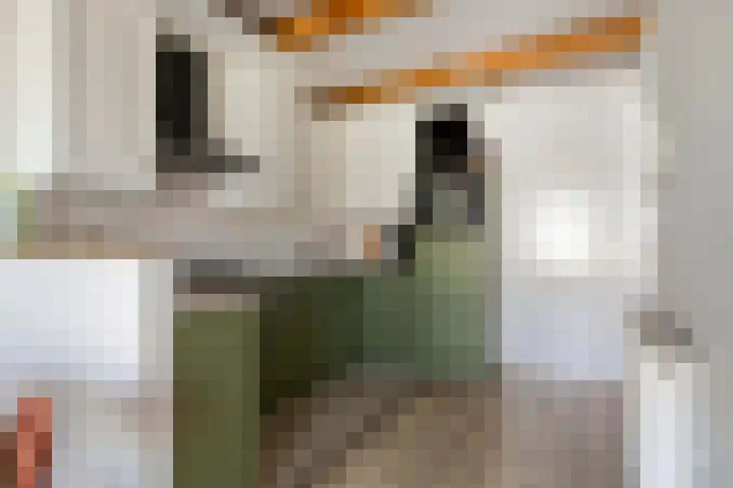 Burgwal 78 I Kampen thumbnail 13