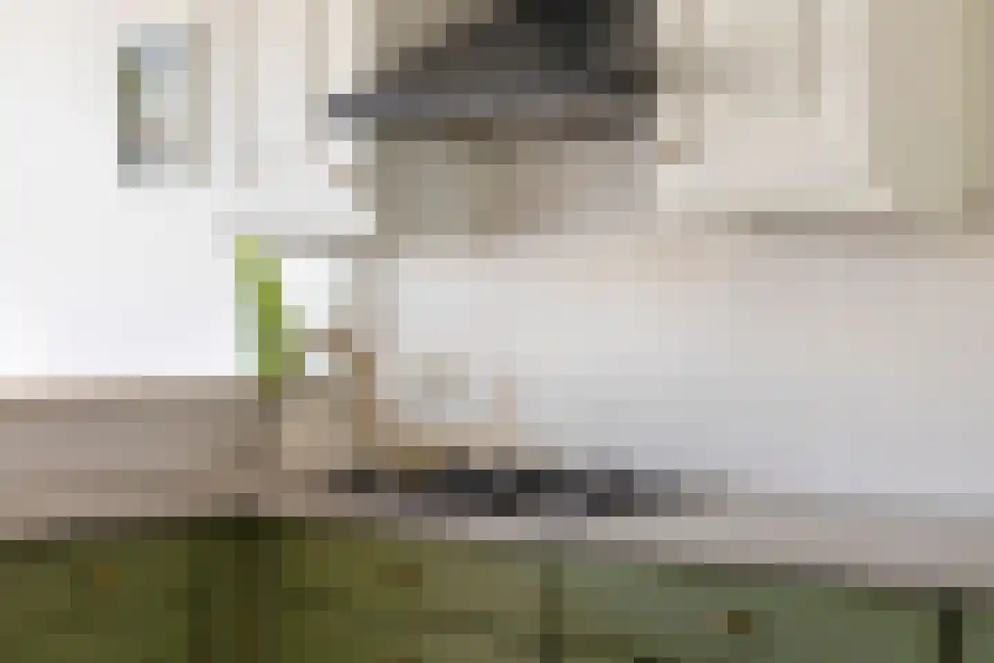 Burgwal 78 I Kampen thumbnail 18