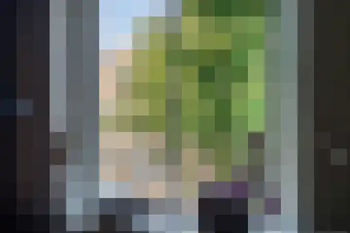 Burgwal 86 3 Kampen thumbnail 15