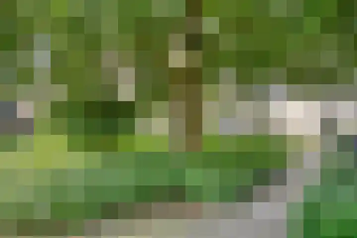Burgwal 86 3 Kampen thumbnail 33