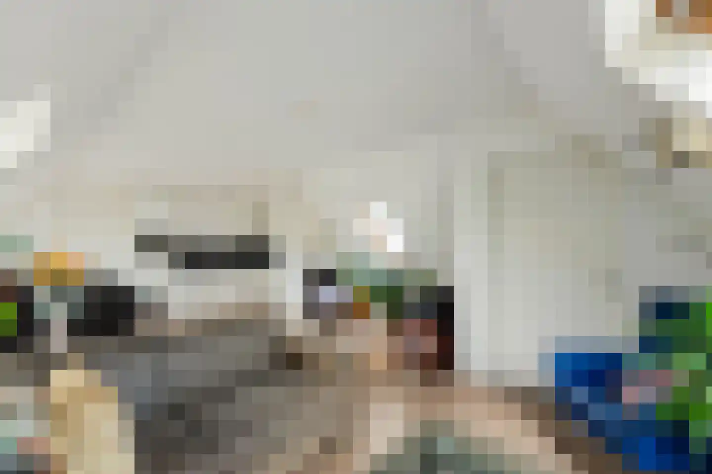 Burgwal 86 6 Kampen thumbnail 15