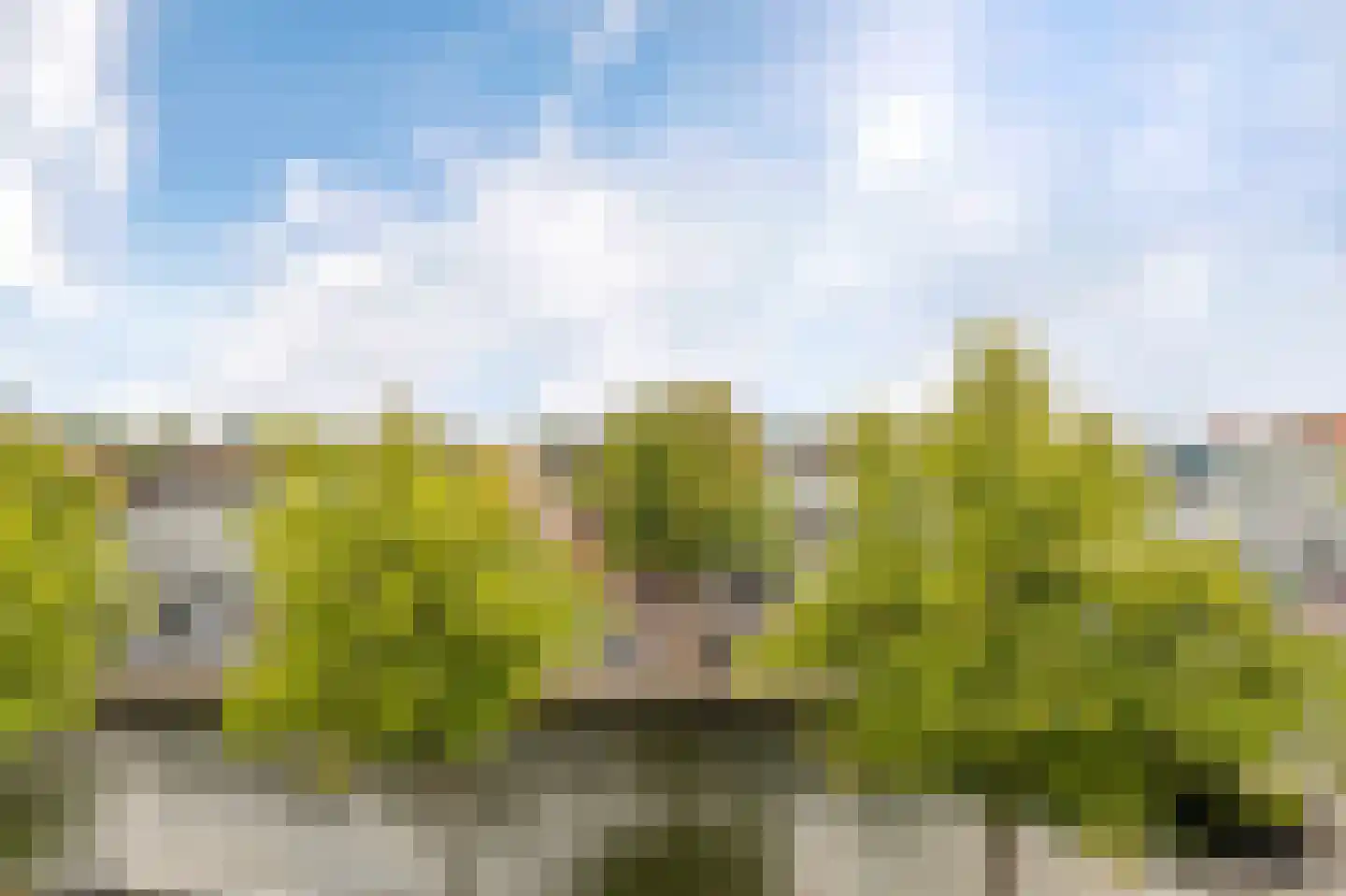 Burgwal 86 6 Kampen thumbnail 19