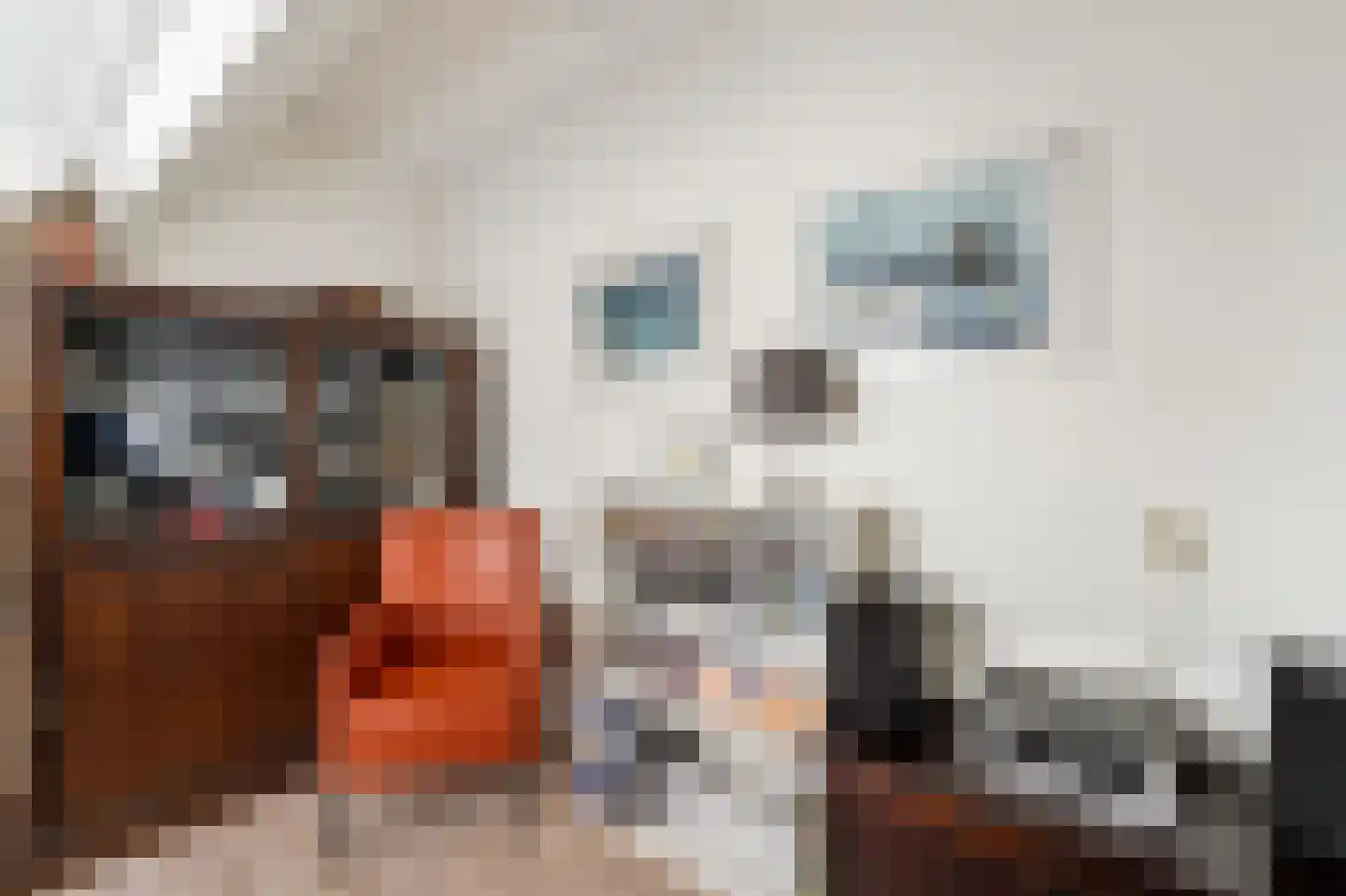 Burgwal 86 6 Kampen thumbnail 33