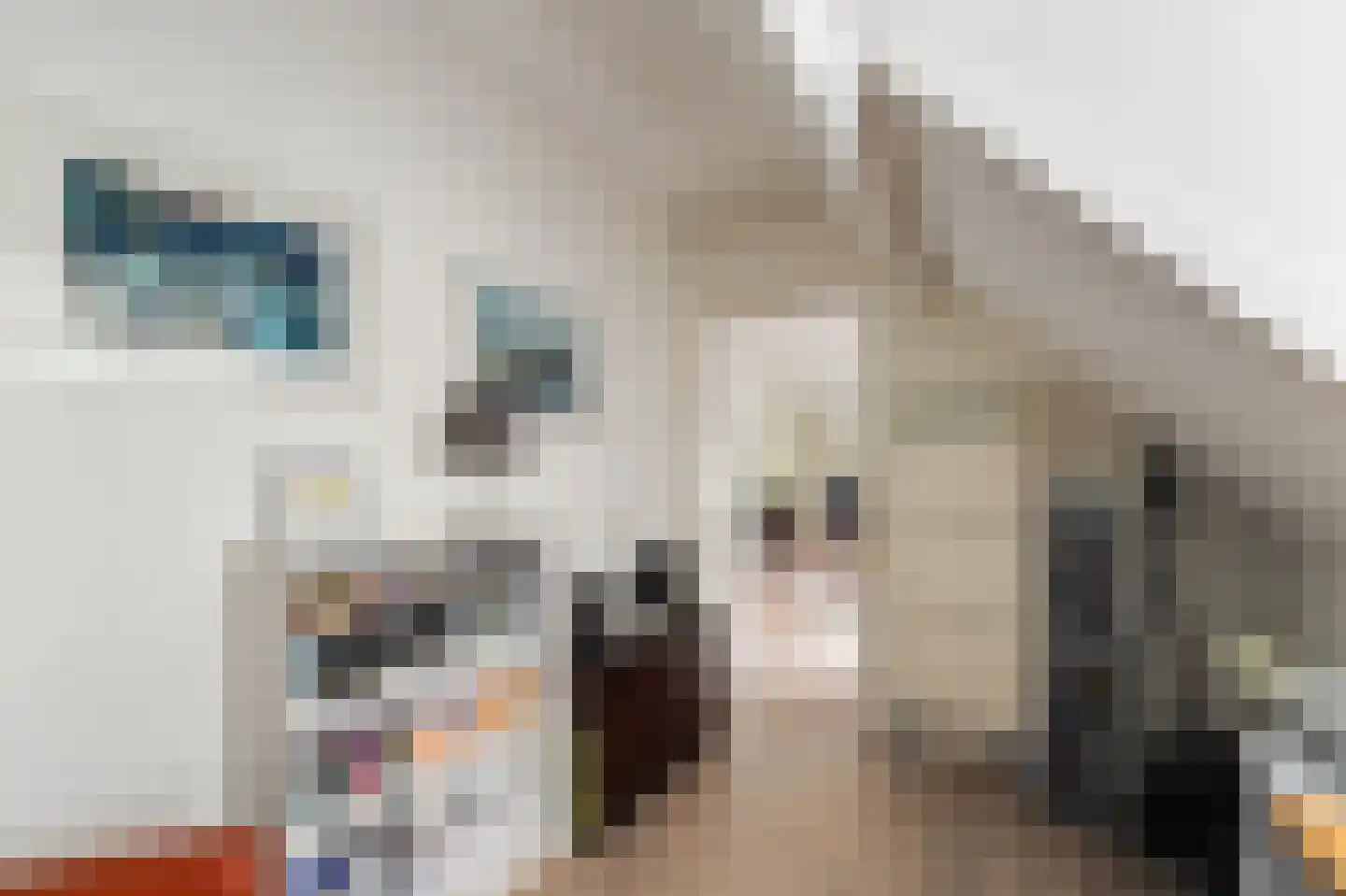 Burgwal 86 6 Kampen thumbnail 34