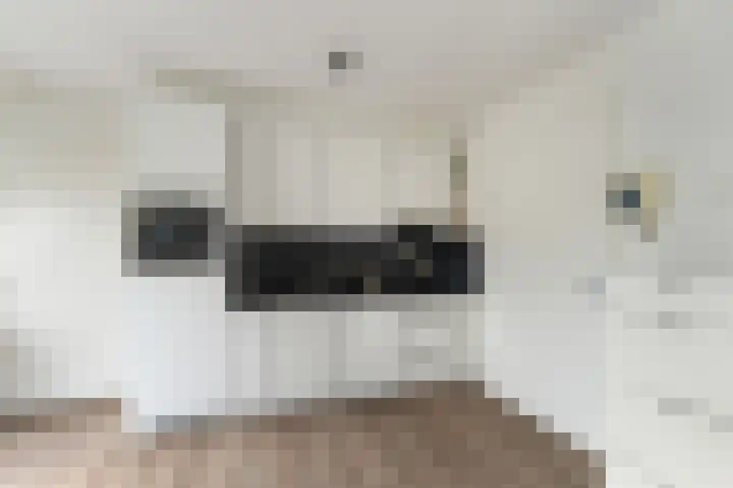Burgwal 86 6 Kampen thumbnail 8