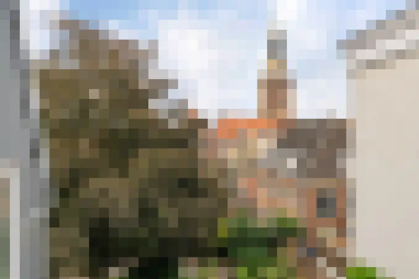 Burgwal 86 6 Kampen thumbnail 9