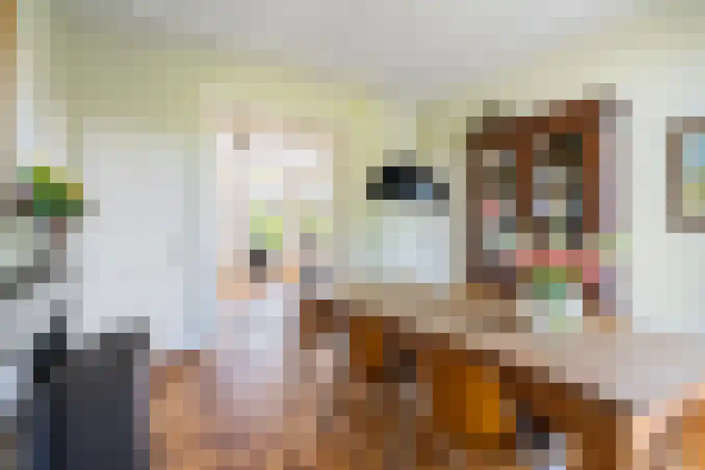 Burgwal 96 Haarlem thumbnail 13