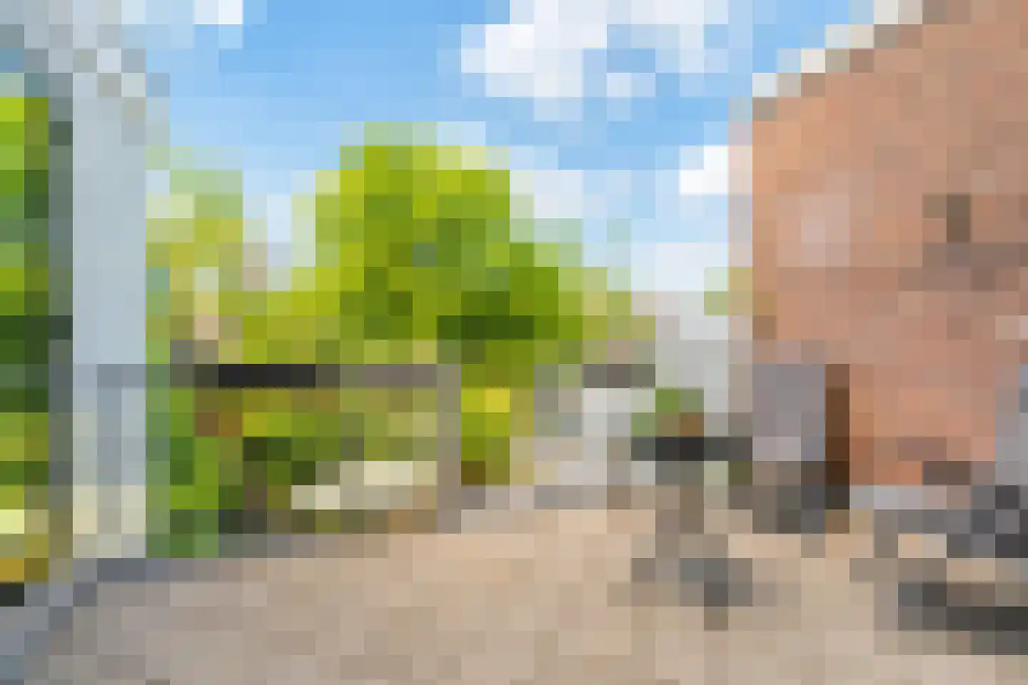 Burgwal 96 Haarlem thumbnail 23