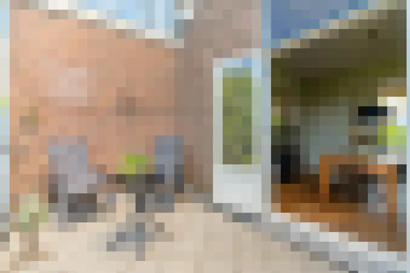 Burgwal 96 Haarlem thumbnail 24