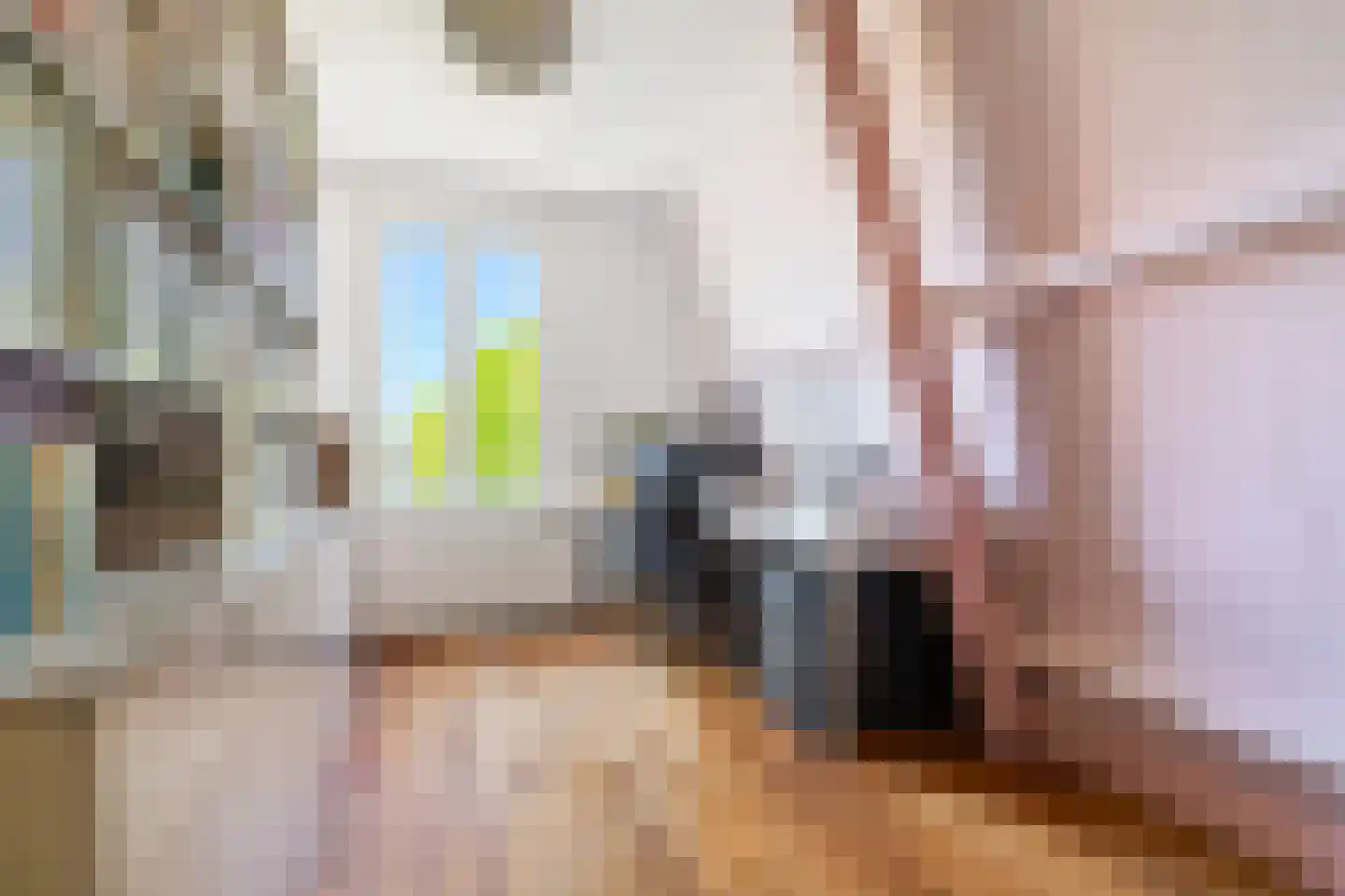 Burgwal 96 Haarlem thumbnail 29