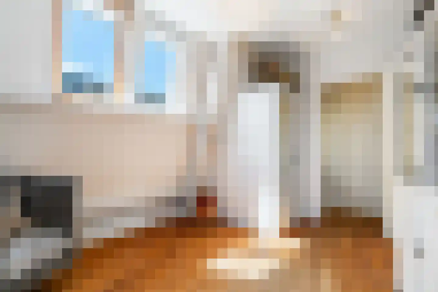 Burgwal 96 Haarlem thumbnail 31