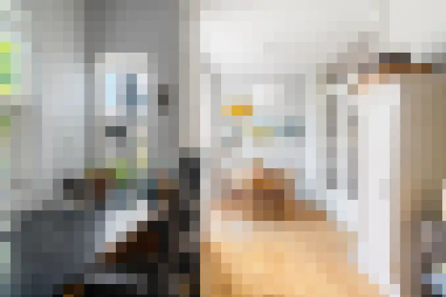 Burgwal 96 Haarlem thumbnail 36