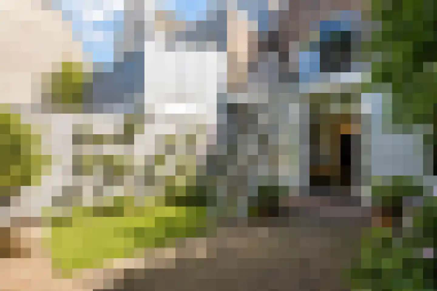 Burgwal 96 Haarlem thumbnail 4