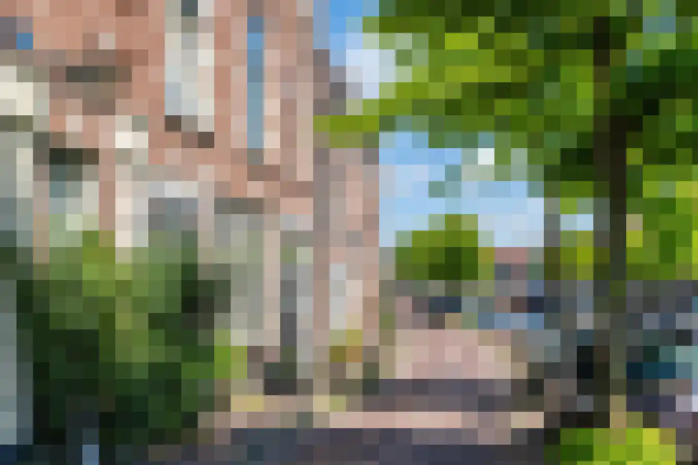Burgwal 96 Haarlem thumbnail 43