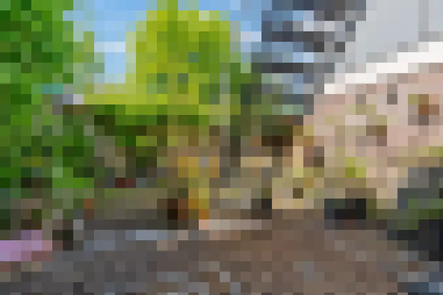 Burgwal 96 Haarlem thumbnail 5