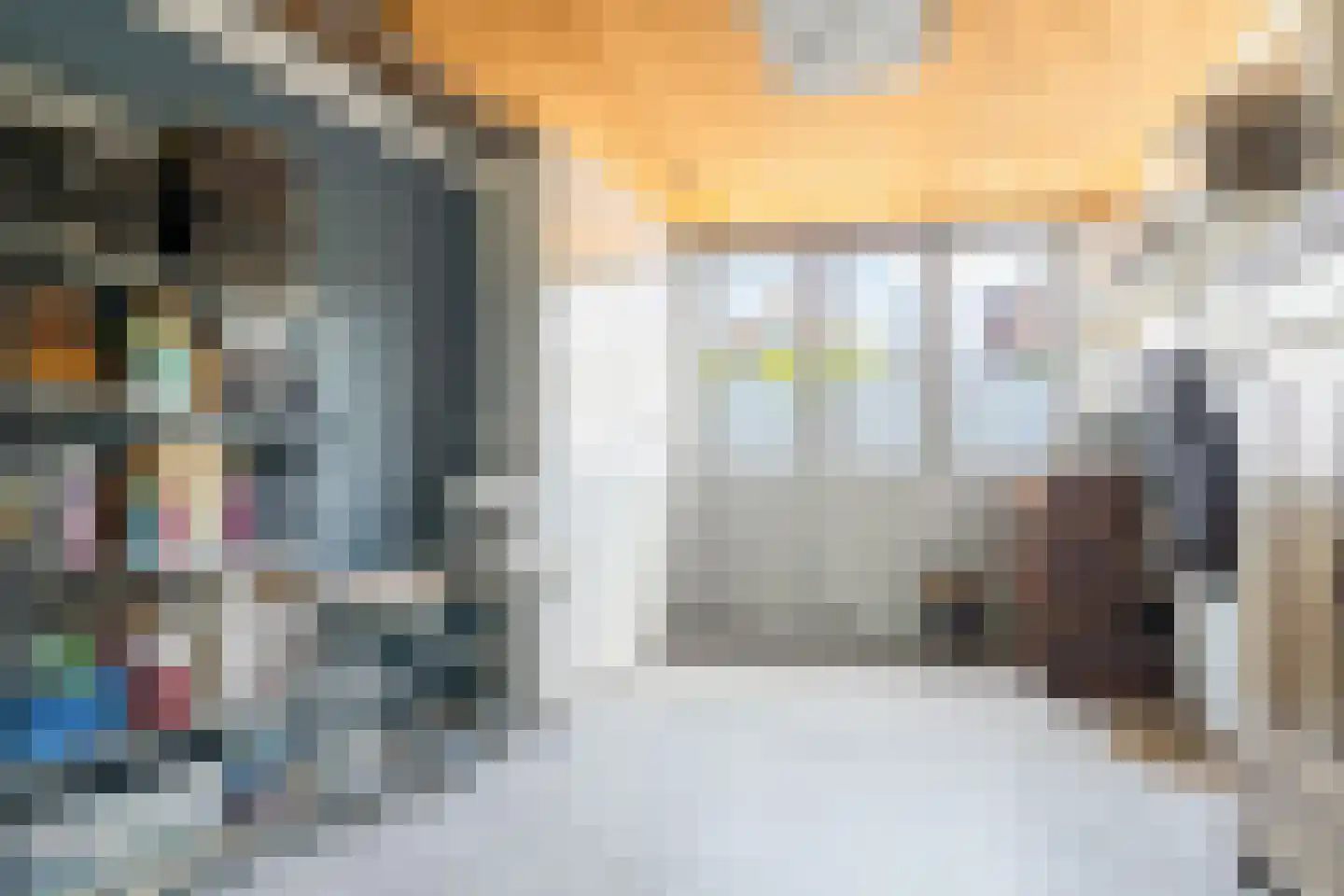 Burgwal 96 Haarlem thumbnail 8