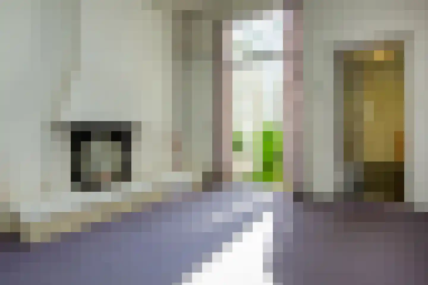 Burgwal 97 Haarlem thumbnail 10