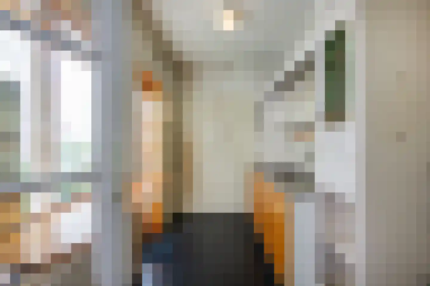Burgwal 97 Haarlem thumbnail 12
