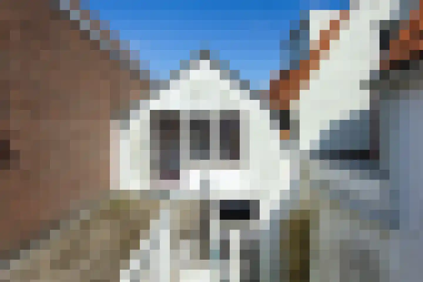 Burgwal 97 Haarlem thumbnail 26