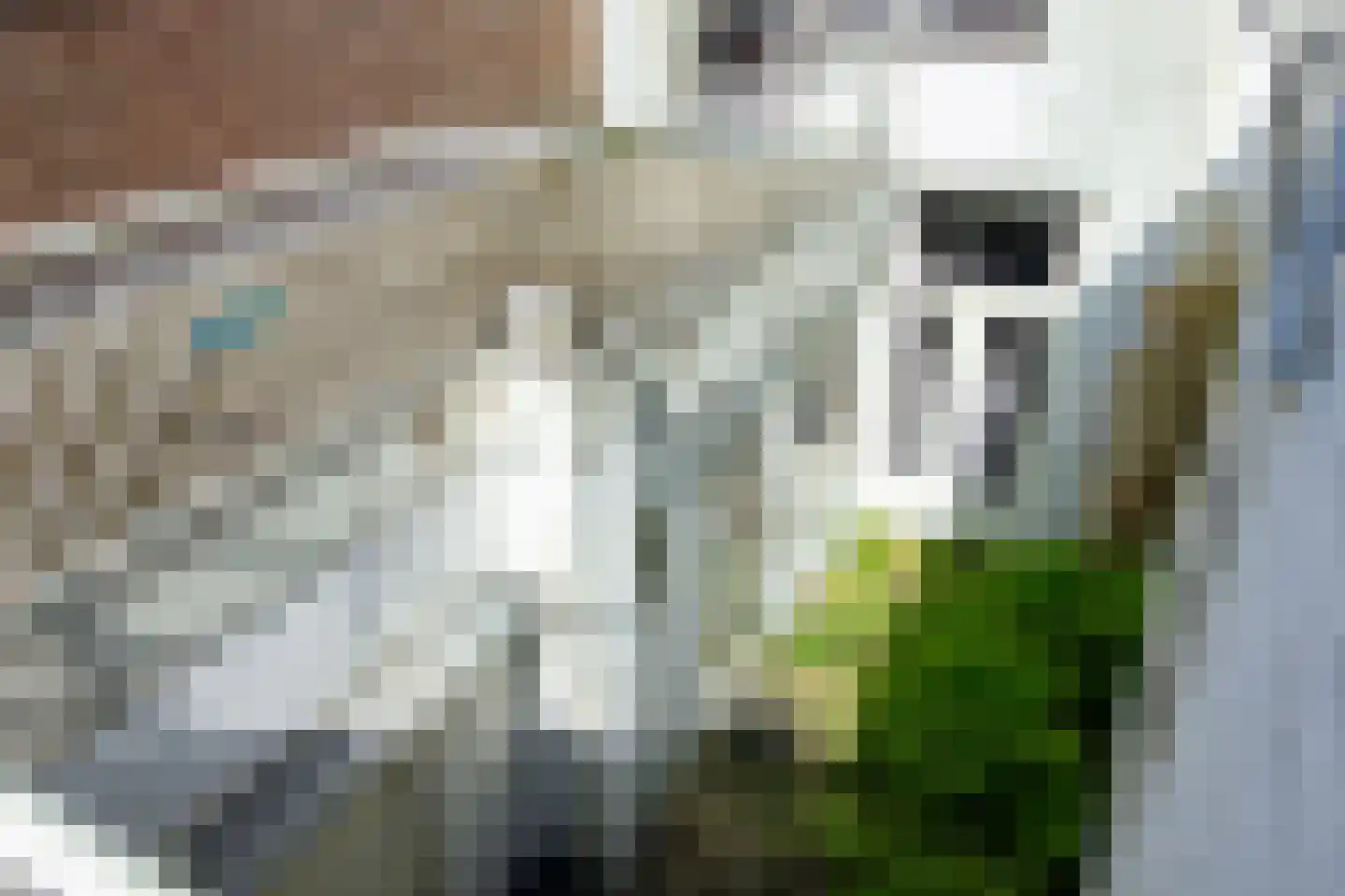 Burgwal 97 Haarlem thumbnail 27